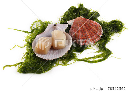 Scallop and fillet isolated on white Scallop and fillet isolated on white 78542562