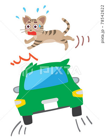 地域猫とスピード注意を促すイラスト 78542622