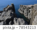 東尋坊の入江 78543213