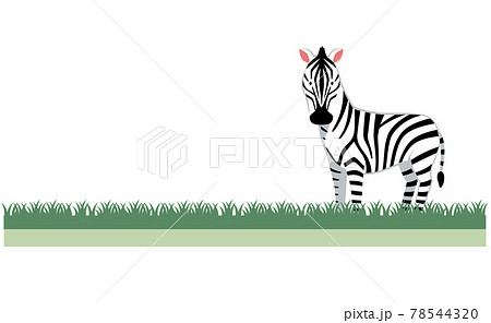 シマウマと草地のイラスト素材のイラスト素材 シマウマと草地のイラスト素材のイラスト素材