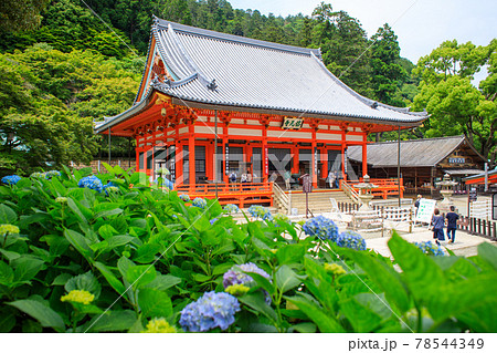 勝尾寺本堂とあじさいの写真素材