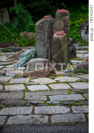 勝尾寺知恵の環 78545047