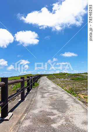 沖縄県宮古島、6月の風景・日本 78546293