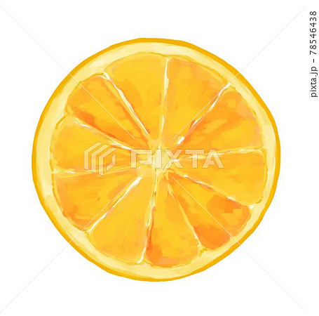 みかん 輪切り イラストのイラスト素材