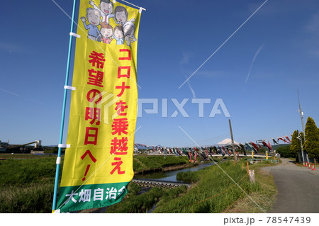 鯉のぼりと富士山 鯉のぼりと富士山 78547439