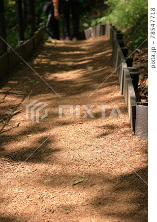 震生湖の遊歩道 78547718