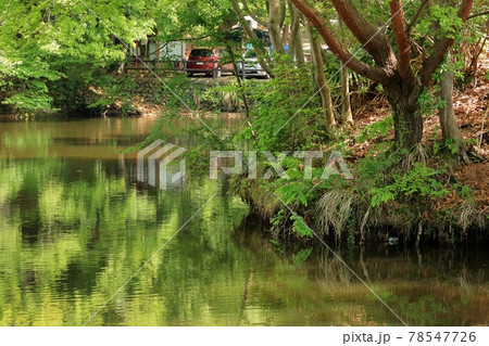 一番新しい自然湖 一番新しい自然湖 78547726