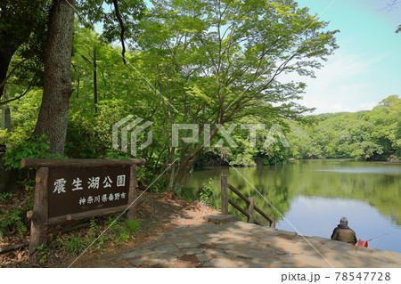 震生湖公園 震生湖公園 78547728