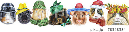 Large guinea pigs border set, pet portraits Large guinea pigs border set, pet portraits 78548584