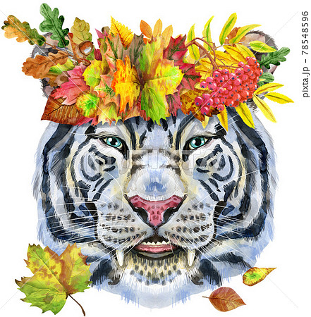 Colorful white smiling tiger in a wreath of autumn leaves. Wild animal watercolor illustration on white background 78548596
