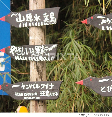 ヤンバルクイナの看板 78549145