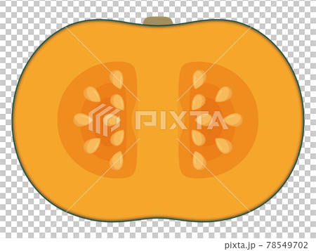 かぼちゃのイラスト 断面のイラスト素材