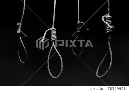 Hanging nooses on black background. 78549998