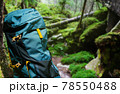 Large hiking blue backpack in forest. 78550488