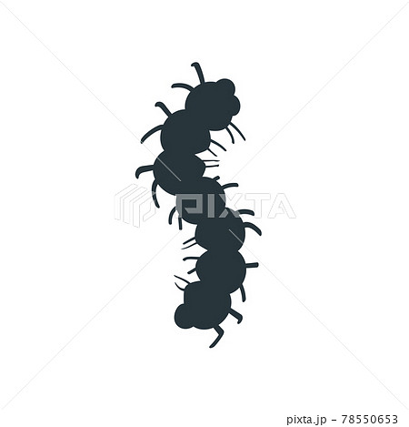 Caterpillar larva simple sign, insect icon on white background Caterpillar larva simple sign, insect icon on white background 78550653