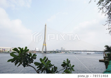 Rama VIII Bridge in Bangkok(タイ王国バンコクの風景、ラマ8世橋) Rama VIII Bridge in Bangkok(タイ王国バンコクの風景、ラマ8世橋) 78551468