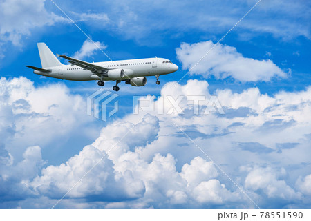 Passenger plane is ready for landing. Passenger plane is ready for landing. 78551590