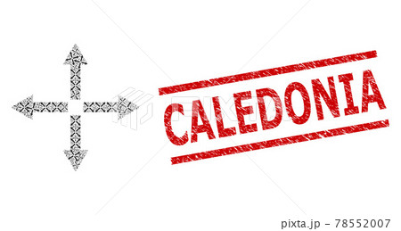 Expand Arrows Recursion Composition of Expand Arrows Icons and Grunge Caledonia Seal Expand Arrows Recursion Composition of Expand Arrows Icons and Grunge Caledonia Seal 78552007