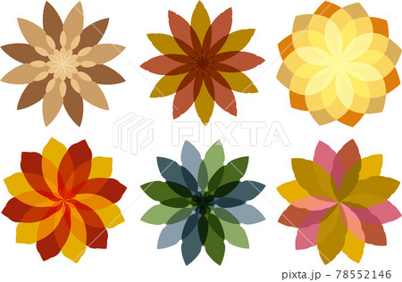 Autumn geometric figure flowers vector illustration 78552146