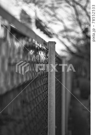 フェンスと植物 フェンスと植物 78552533