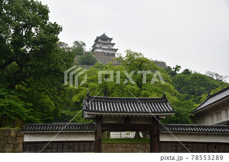 丸亀城より 丸亀城より 78553289