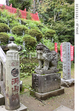 高尾山薬王院権現堂　阿行の狛犬 78553330