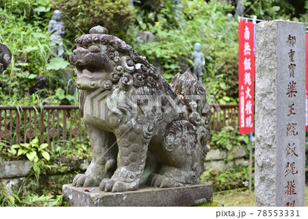 高尾山薬王院権現堂　阿行の狛犬 78553331