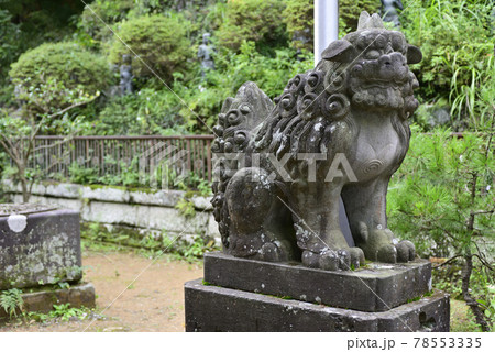 高尾山薬王院権現堂　吽行の狛犬 78553335