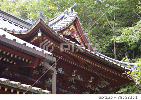 高尾山薬王院飯縄権現堂 御本社 高尾山薬王院飯縄権現堂 御本社 78553351