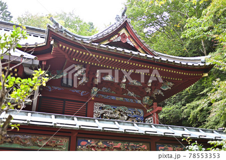 高尾山薬王院飯縄権現堂 御本社 高尾山薬王院飯縄権現堂 御本社 78553353