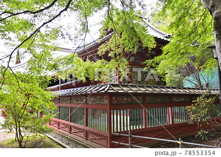 高尾山薬王院飯縄権現堂 御本社 高尾山薬王院飯縄権現堂 御本社 78553354