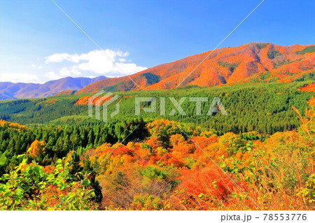 紅葉の不忘山山麓 紅葉の不忘山山麓 78553776