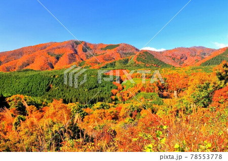 紅葉の不忘山山麓 紅葉の不忘山山麓 78553778