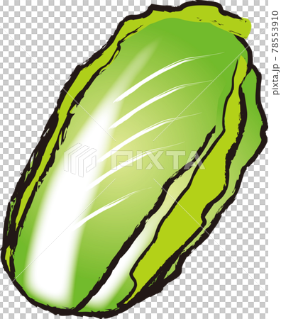 中國的白菜 78553910