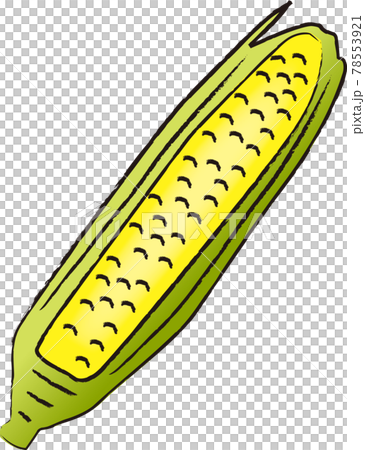 とうもろこし 78553921