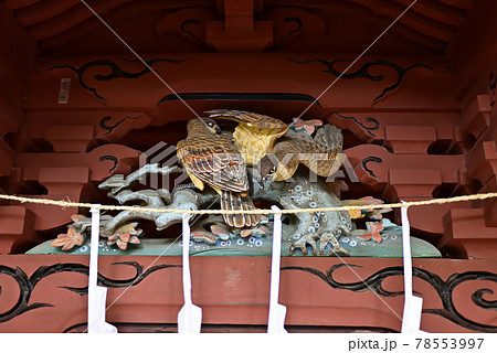 高尾山薬王院　浅間社 78553997