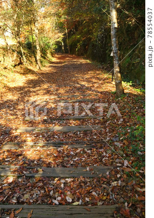 武田尾　福知山線廃線敷 78554037