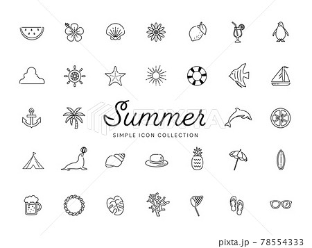 夏のシンプルな線画アイコンセット03 ビーチ 海 自然 動物 花 果物 モノクロのイラスト素材