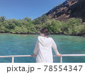 ハワイの海 78554347