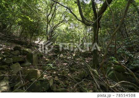 小手ノ浦倭寇城 跡地 小手ノ浦倭寇城 跡地 78554508