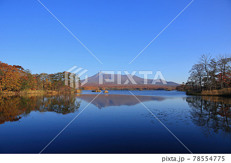 湖面に映る秋の大沼公園の紅葉と北海道駒ヶ岳(引き構図） 78554775