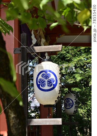 芝東照宮　社殿（拝殿・本殿）神紋 78555430