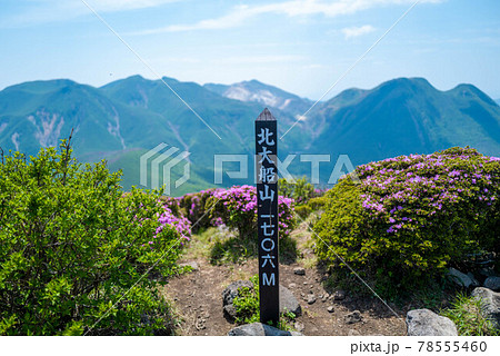ミヤマキリシマの季節の北大船山頂上と三俣山、硫黄山、九重連山 78555460