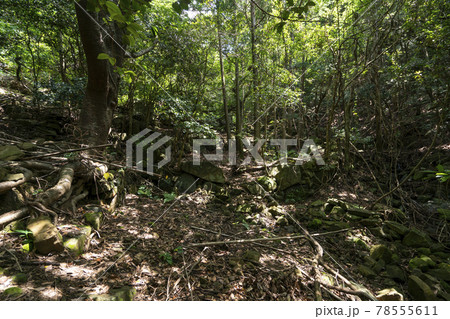 小手ノ浦倭寇城 跡地 小手ノ浦倭寇城 跡地 78555611