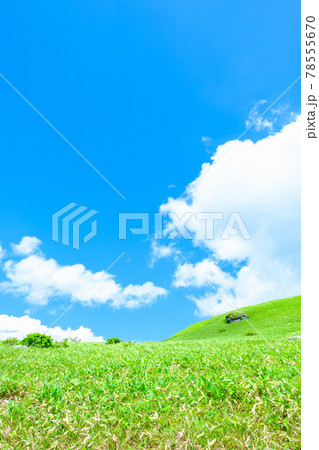 爽やかな高原風景(夏) 爽やかな高原風景(夏) 78555670