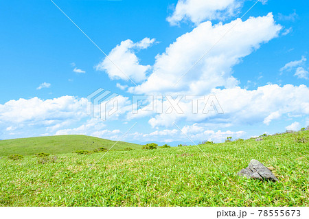 爽やかな高原風景(夏) 爽やかな高原風景(夏) 78555673