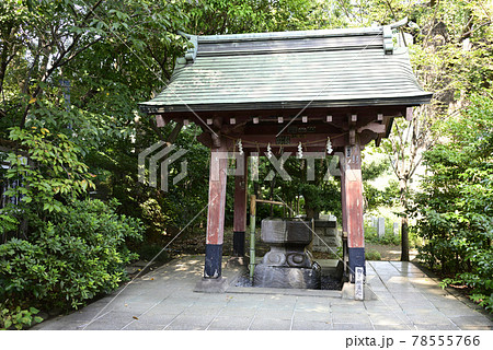 芝東照宮 手水舎 芝東照宮 手水舎 78555766