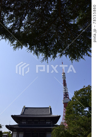 増上寺 大殿と東京タワー 増上寺 大殿と東京タワー 78555860