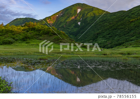 朝の火打山 78556155