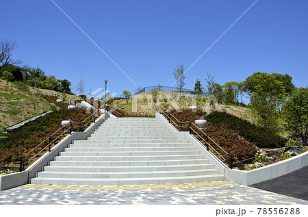 平和中央公園 78556288